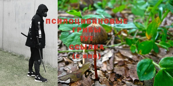 соль ск Баксан