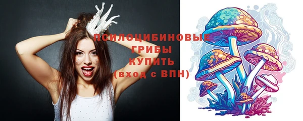 СК Краснослободск