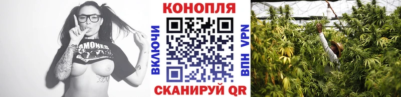 kraken зеркало  Дегтярск  Канабис план 